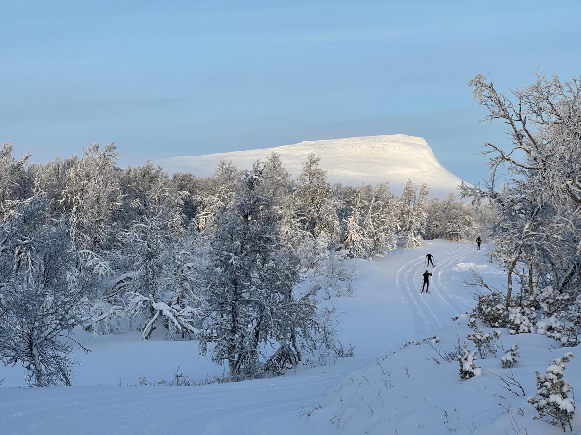 Bruksvallarna - Modern Fjaellstuga Med Panoramautsikt Och Wifi Esterno foto